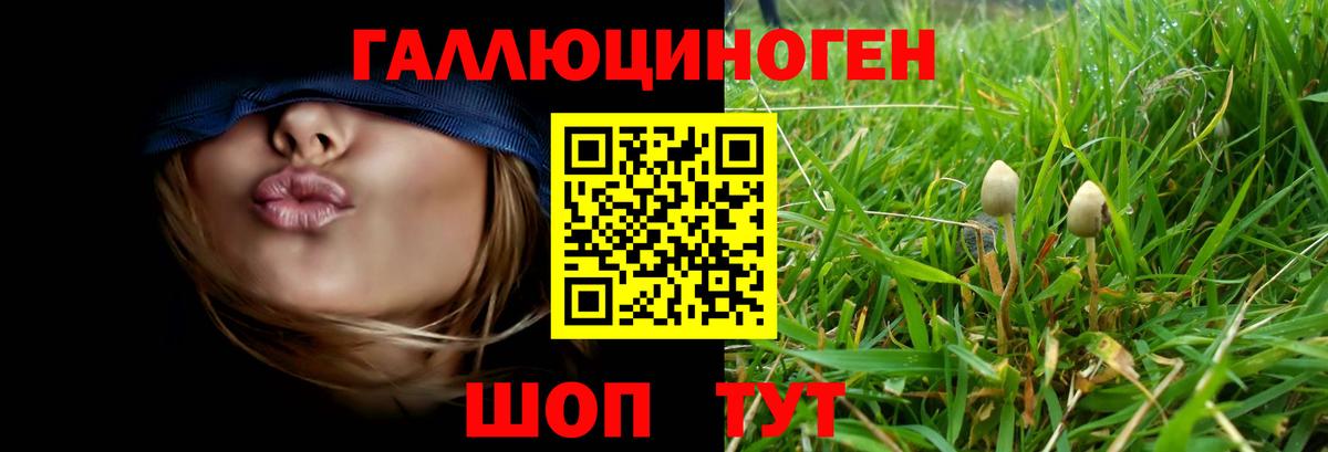 Галлюциногенные грибы ЛСД Кузнецк