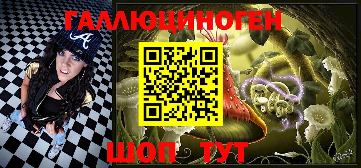 что такое   Галлюциногенные грибы прущие грибы  Вход с VPN  Кузнецк  Галлюциногенные грибы Psilocybine cubensis 